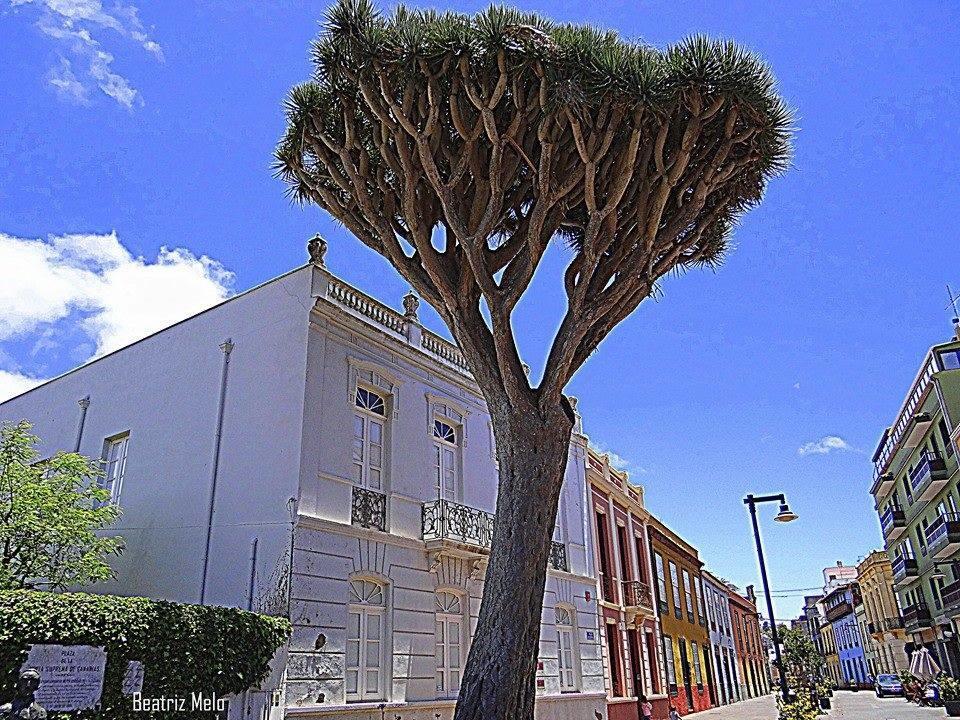 Belen San Cristóbal de La Laguna